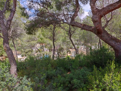 /international/es/calle-pintor-ribera-teulada-valencian-community-310107670995/