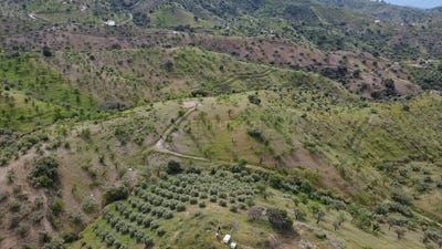 /international/es/alora-andalusia-310107579552/