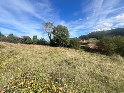 /international/es/caserio-la-buria-castrillon-asturias-310108050752/