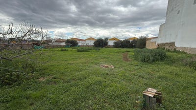 /international/es/el-cerro-de-andevalo-andalusia-310106915658/