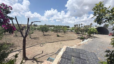/international/es/san-juan-del-puerto-andalusia-310108893521/