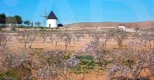 /international/es/calle-jayon-nijar-andalusia-310108085155/