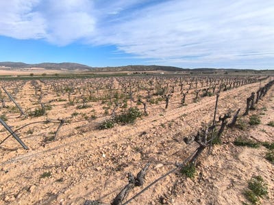 /international/es/yecla-region-of-murcia-310100736852/?lang=de
