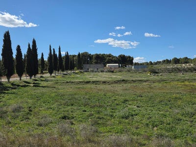 /international/es/diseminado-cementerio-calasparra-region-of-murcia-310108784486/