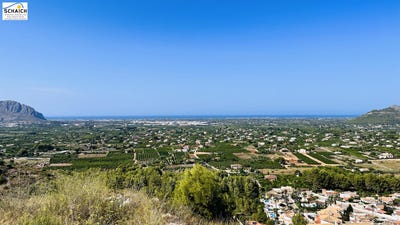 /international/es/pedreguer-valencian-community-120096127077/