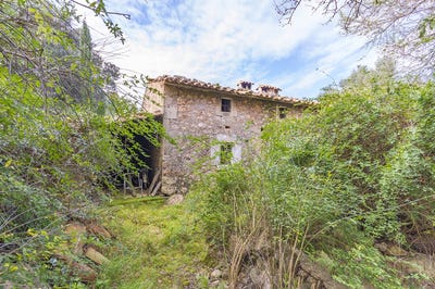/international/es/196-diseminado-poligono-7-pollenca-balearic-islands-310101731377/