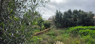 /international/es/sant-llorenc-des-cardassar-balearic-islands-310108870819/