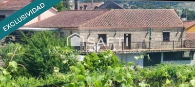 /international/es/arbo-galicia-310105740676/