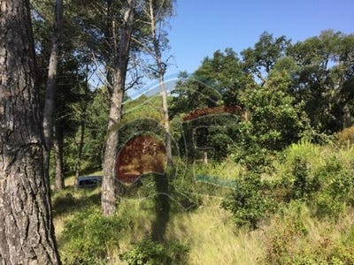 /international/es/palamos-catalonia-120076376983/