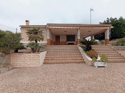 /international/es/elche-valencian-community-310100993374/