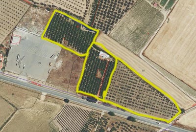 /international/es/manzanilla-andalusia-310106777436/