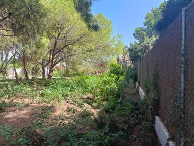 /international/es/cabo-roig-valencian-community-310109847159/