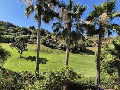 /international/es/alhaurin-el-grande-andalusia-310100743032/