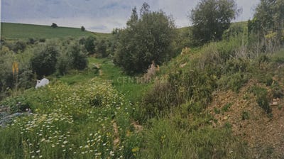 /international/es/cartama-andalusia-310102699492/