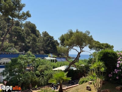 /international/es/lloret-de-mar-catalonia-310102131850/