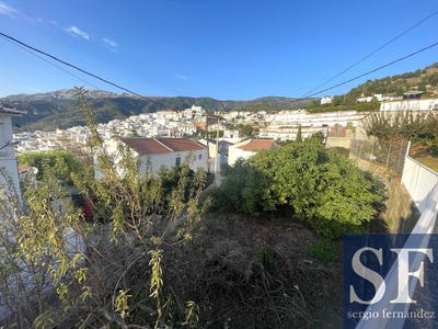 /international/es/canillas-de-albaida-andalusia-310103452280/