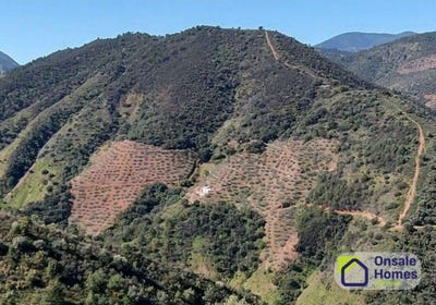 /international/es/monda-andalusia-310108790399/