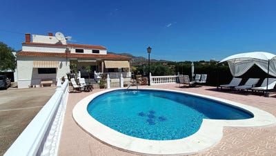 /international/es/crevillent-a-crevillent-valencian-community-310108922730/