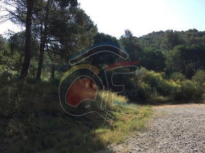 /international/es/palamos-catalonia-120066584303/