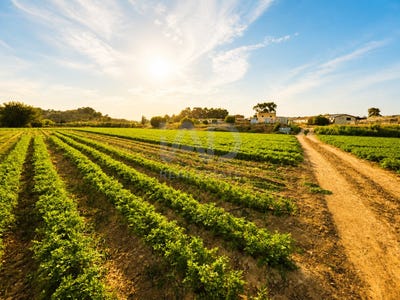 /international/es/poblado-las-reposaderas-calasparra-region-of-murcia-310108949917/