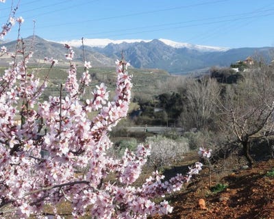 /international/es/dilar-andalusia-120077317193/?lang=zh-cn