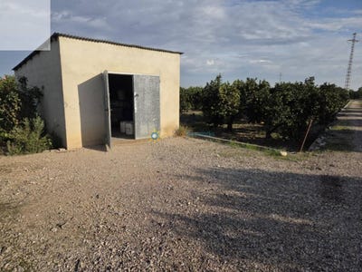 /international/es/senyera-valencian-community-310107470026/
