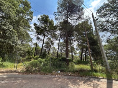 /international/es/barcelona-catalonia-310101016070/