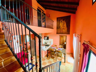 /international/es/san-miguel-de-abona-canary-islands-310108052893/