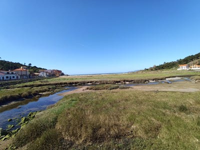 /international/es/pindo-sur-carnota-galicia-310103466945/