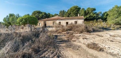 /international/es/pilar-de-la-horadada-valencian-community-120098364394/