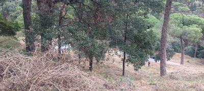 /international/es/turo-den-vives-sant-cebria-de-vallalta-catalonia-310104231660/