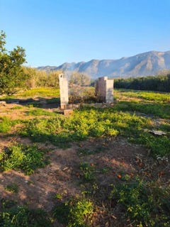 /international/es/major-benifairo-de-la-valldigna-valencian-community-310108373281/
