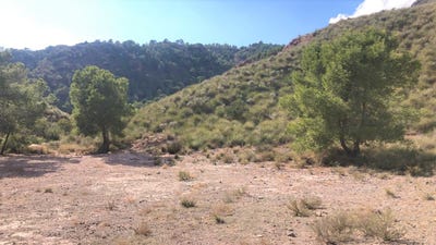 /international/es/lorca-region-of-murcia-310100664045/