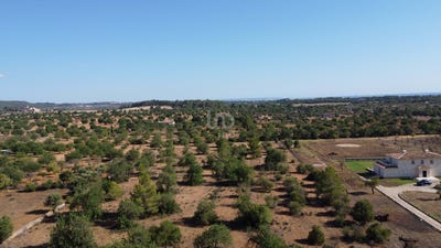 /international/es/balears-illes-balearic-islands-310101467298/