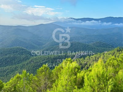 /international/es/sant-llorenc-de-la-muga-catalonia-310106944547/