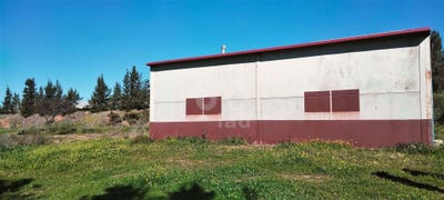 /international/es/huelva-andalusia-310099707411/