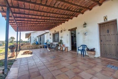 /international/es/trigueros-andalusia-120089964528/