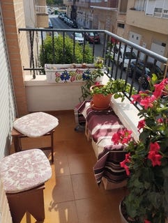 /international/es/almoradi-valencian-community-310108839414/