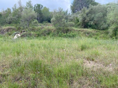 /international/es/cami-de-maspujols-castellvell-del-camp-catalonia-310104278418/