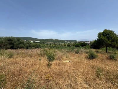 /international/es/san-roque-andalusia-310100536785/