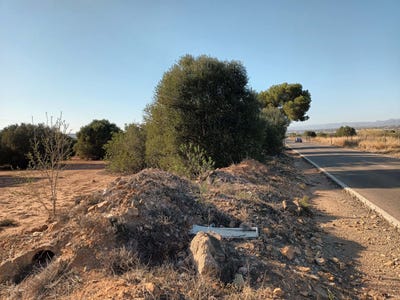 /international/es/pobla-de-vallbona-la-valencian-community-310105830296/