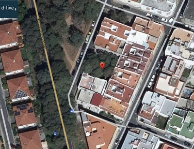 /international/es/arucas-canary-islands-310097671877/