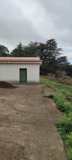 /international/es/sauzal-el-canary-islands-310101352764/
