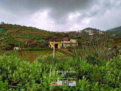 /international/es/santa-maria-de-guia-de-gran-canaria-canary-islands-310099549030/?lang=zh-tw