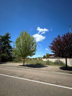 /international/es/leon-castile-and-leon-310101485462/