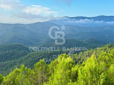 /international/es/sant-llorenc-de-la-muga-catalonia-310102438580/