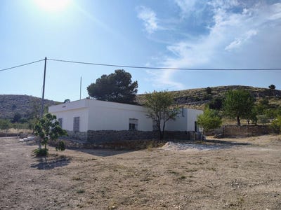 /international/es/pinoso-valencian-community-310100761345/