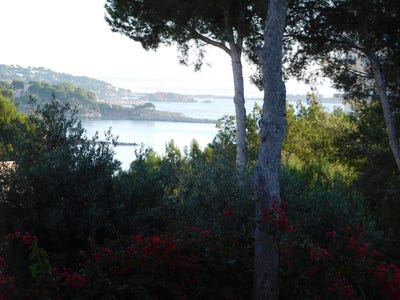 /international/es/43-carrer-ramon-llull-palma-nova-balearic-islands-310101732638/