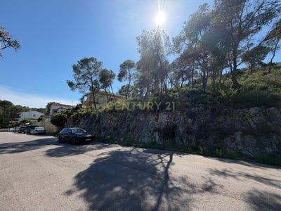/international/es/canyelles-catalonia-310107558498/