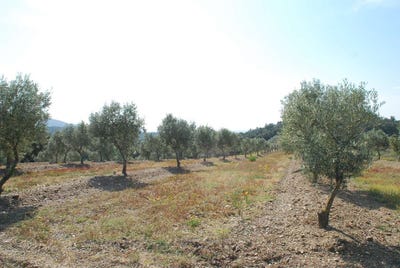 /international/es/garriguella-girona-catalonia-310106969005/